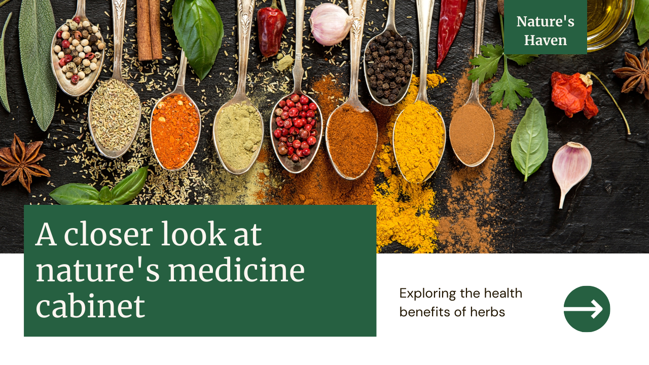 Discover the Wonders: The Benefits of Using Herbs